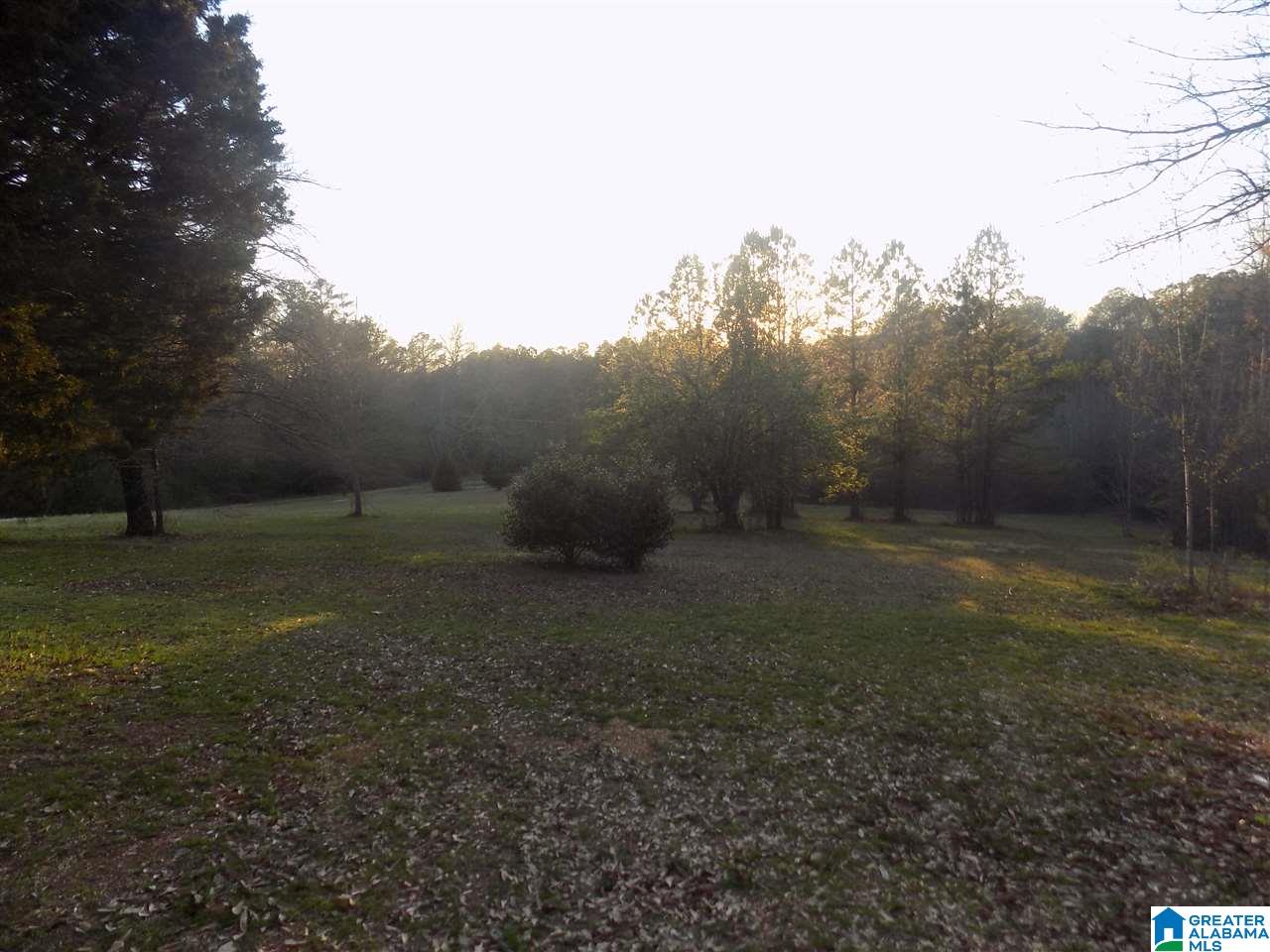 492 Kudzu Road Oneonta, AL 35121 - Photo 4 of 27 Gallery Image 4