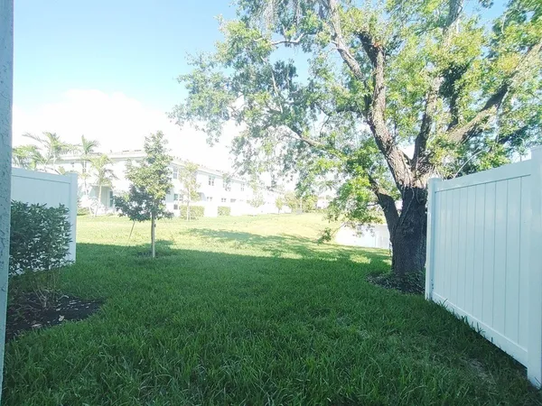 a view of a trees with a yard