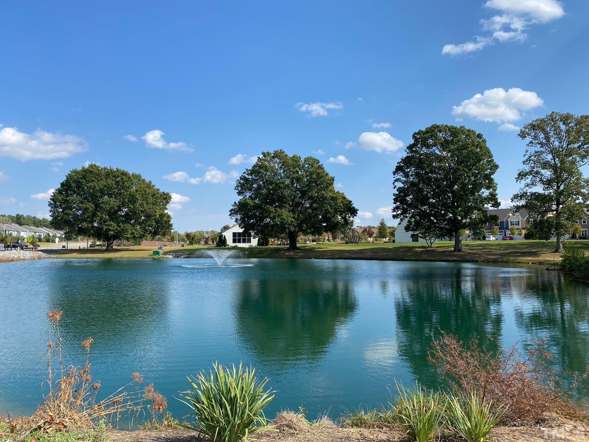 312 Ressler Street, Unit 504 Holly Springs, NC 27540 - Photo 23 of 30 a view of a lake with a mountain