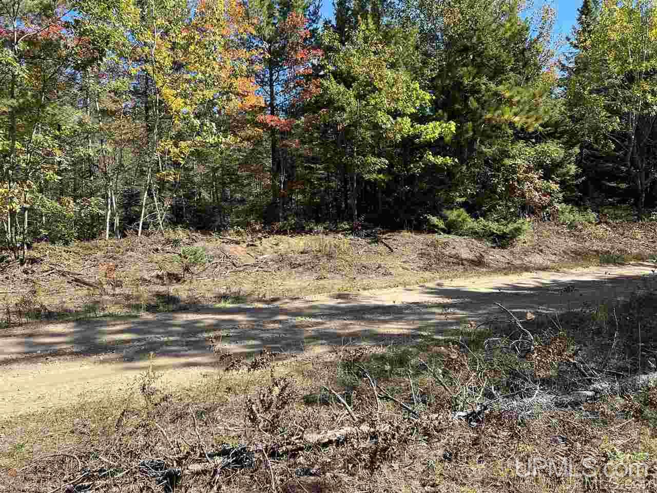4091 Hiawatha Station Road Manistique, MI 49854 - Photo 17 of 24