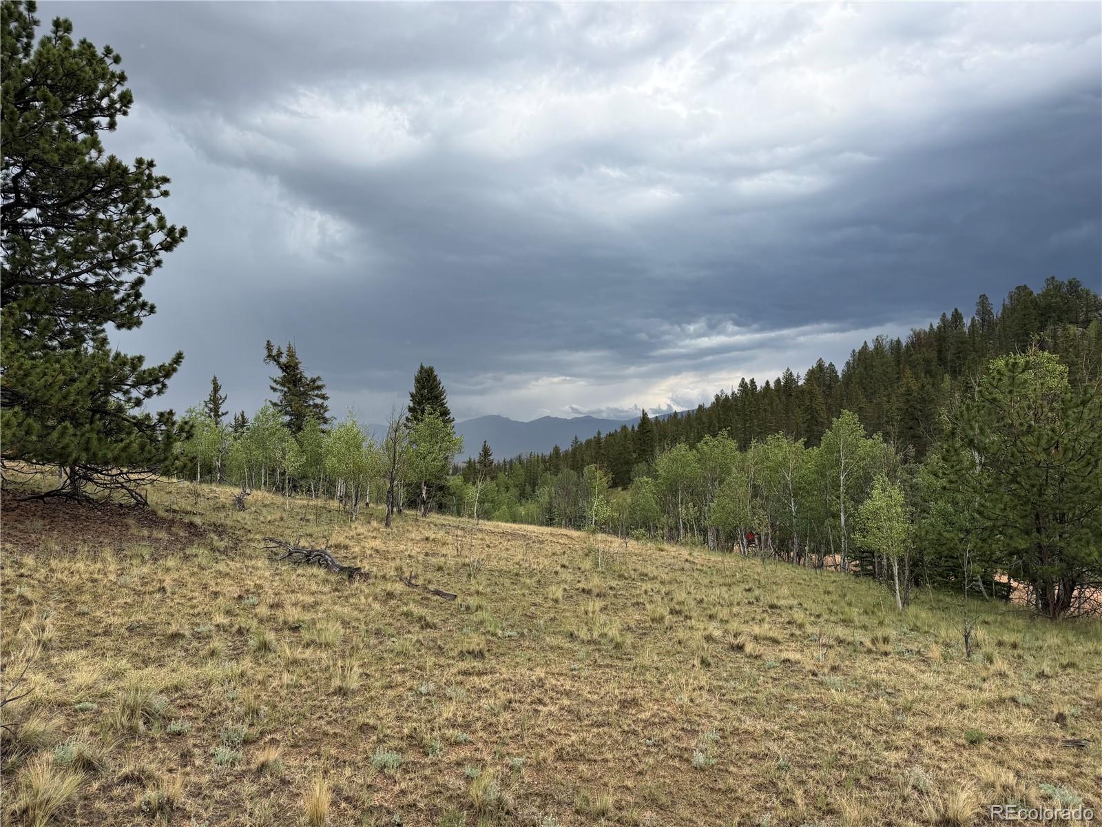 383 Spearpoint Road Como, CO 80432 - Photo 7 of 11 Gallery Image 7