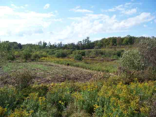 315 Rocchio Road Duanesburg, NY 12137 - Photo 3 of 3 Photo 3