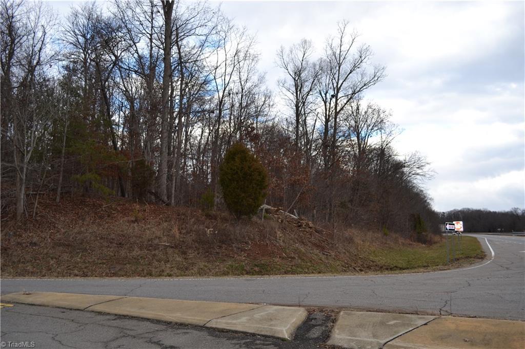 0 Twin Springs Road Mayodan, NC 27027 - Photo 3 of 8 Gallery Image 3