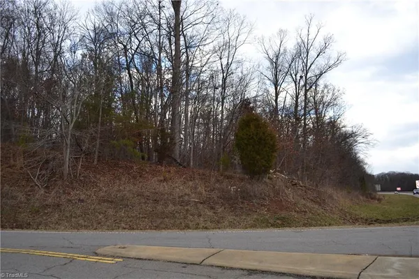 $99,900 | 0 Twin Springs Road, Mayodan, NC 27027