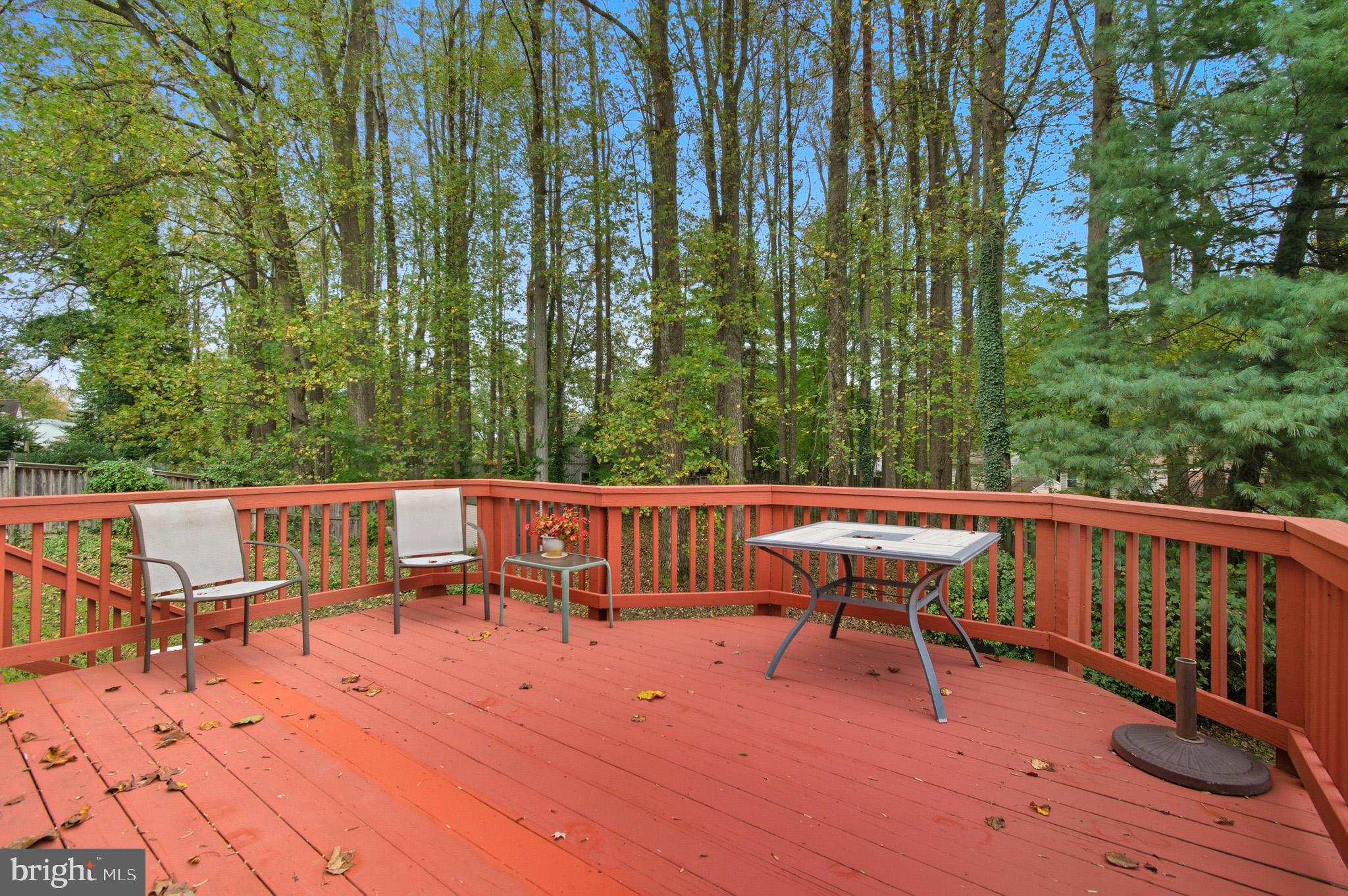 1609 Winding Waye Lane Silver Spring, MD 20902 - Photo 9 of 69