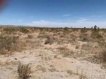 a view of an ocean beach
