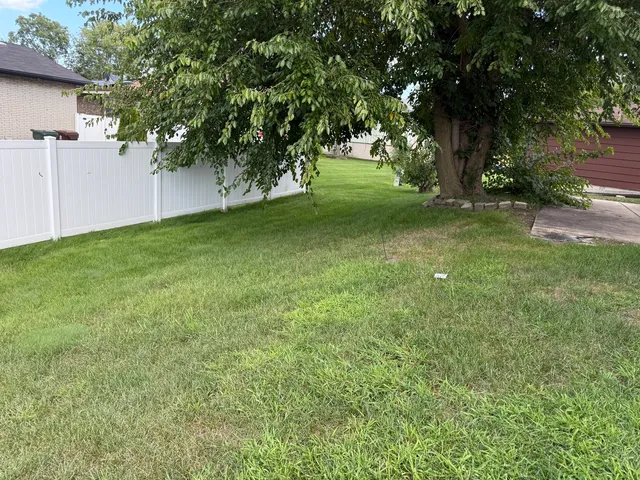 a view of a backyard with large trees