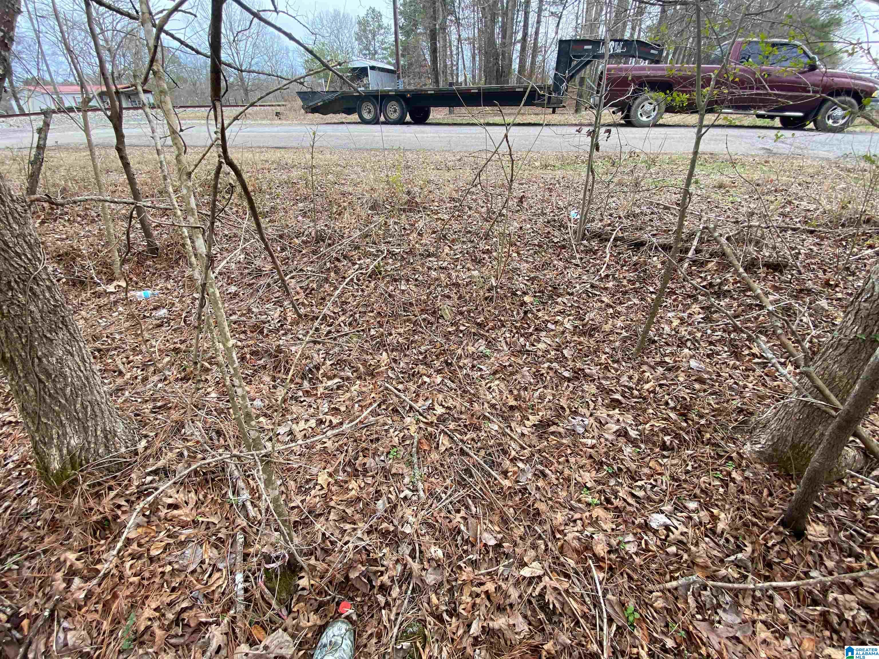 0 Sweatt Road, Unit TRACT C 29 / ACRES Steele, AL 35987 - Photo 9 of 9