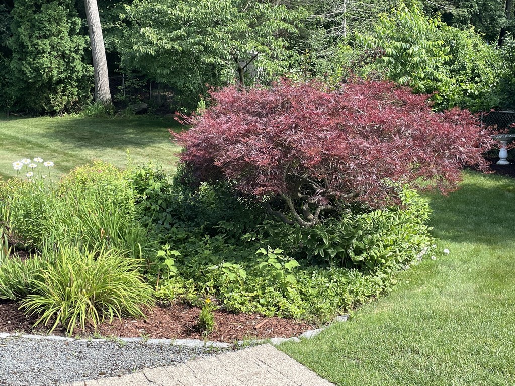 61 Norgate Road Attleboro, MA 02703 - Photo 41 of 42 Gallery Image 41