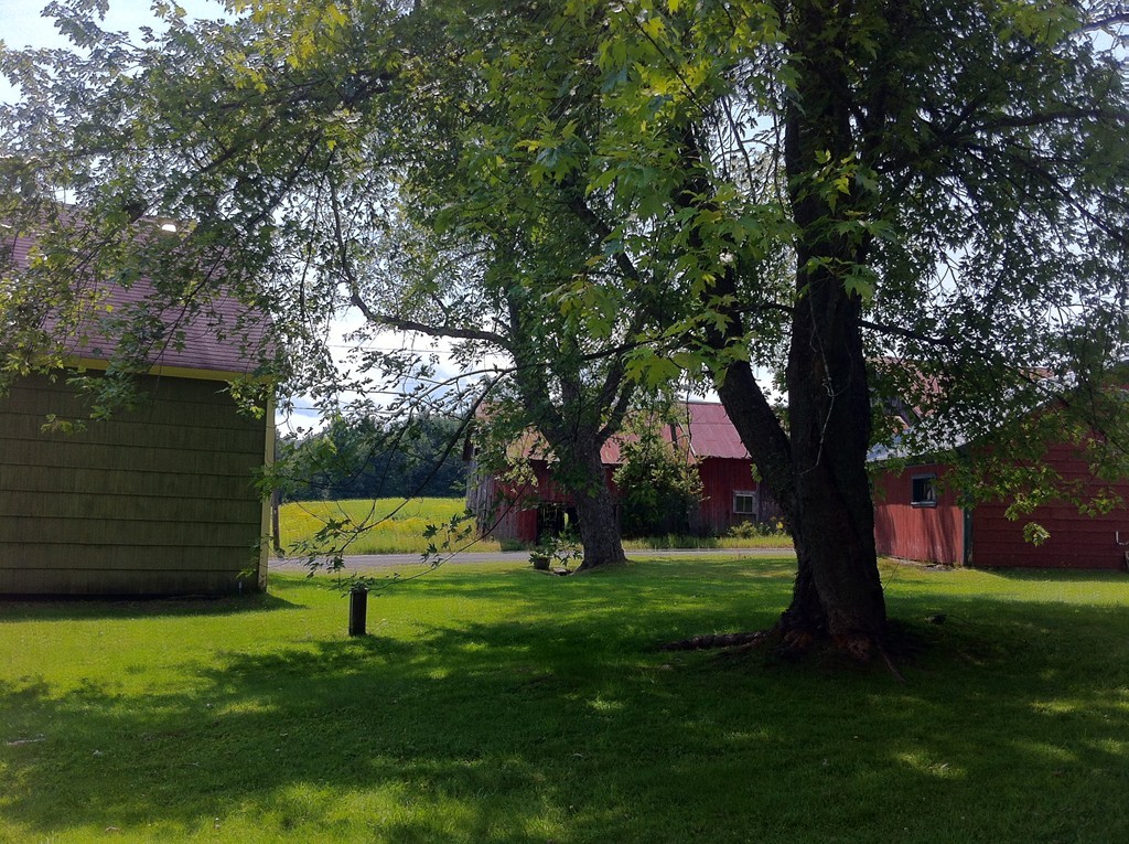 13 West Branch Road Heath, MA 01340 - Photo 22 of 28 a view of a backyard with large trees