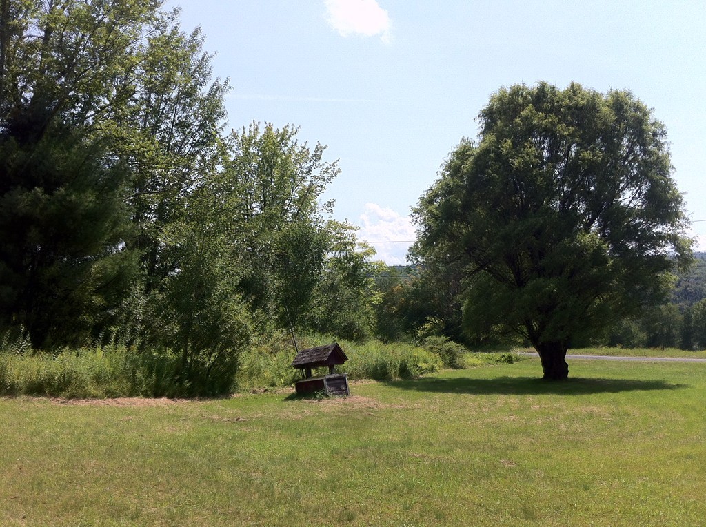 13 West Branch Road Heath, MA 01340 - Photo 28 of 28 a view of backyard with trees
