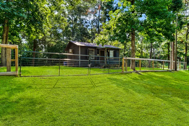 a view of a park with a large tree