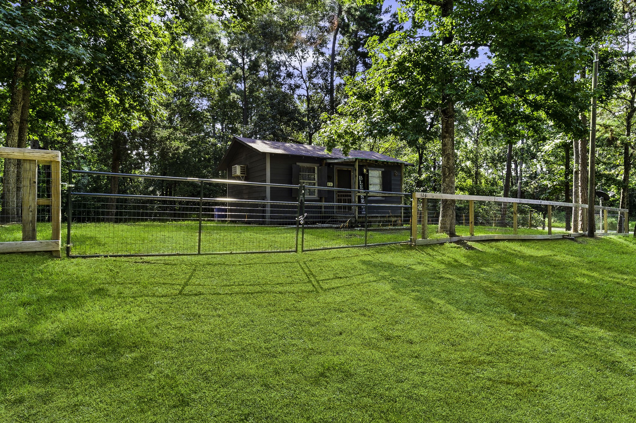 126 Pine Ridge Onalaska, TX 77360 - Photo 2 of 16 a view of a park with a large tree