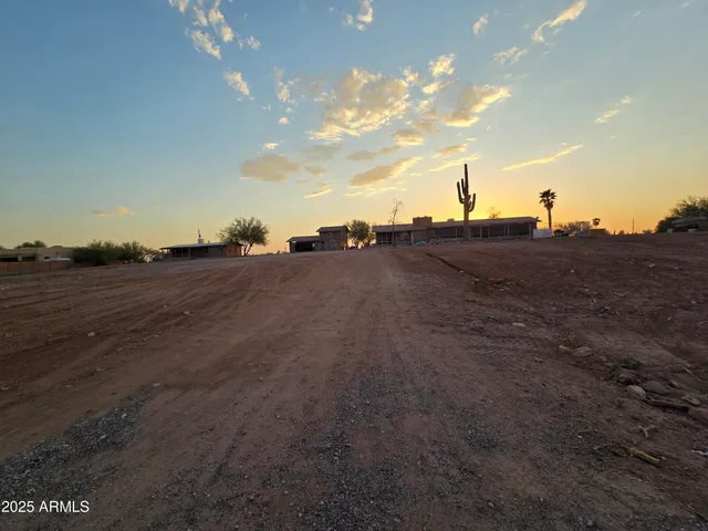 a view of a dry yard