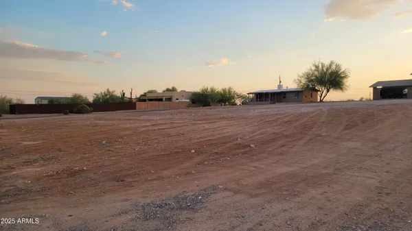 a view of a dry yard with a tree
