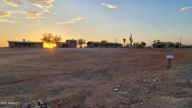 a view of a dry yard with trees