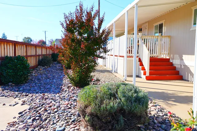 a view of a house with a yard and plants