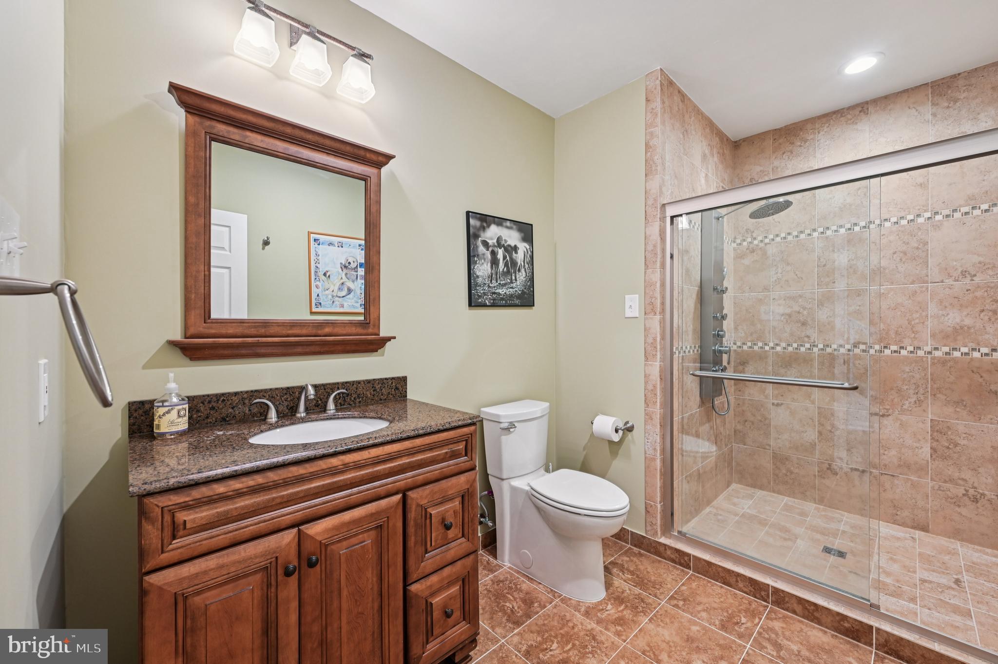 4884 Castlebridge Road Ellicott City, MD 21042 - Photo 41 of 130 a bathroom with a granite countertop sink toilet a mirror a vanity and shower
