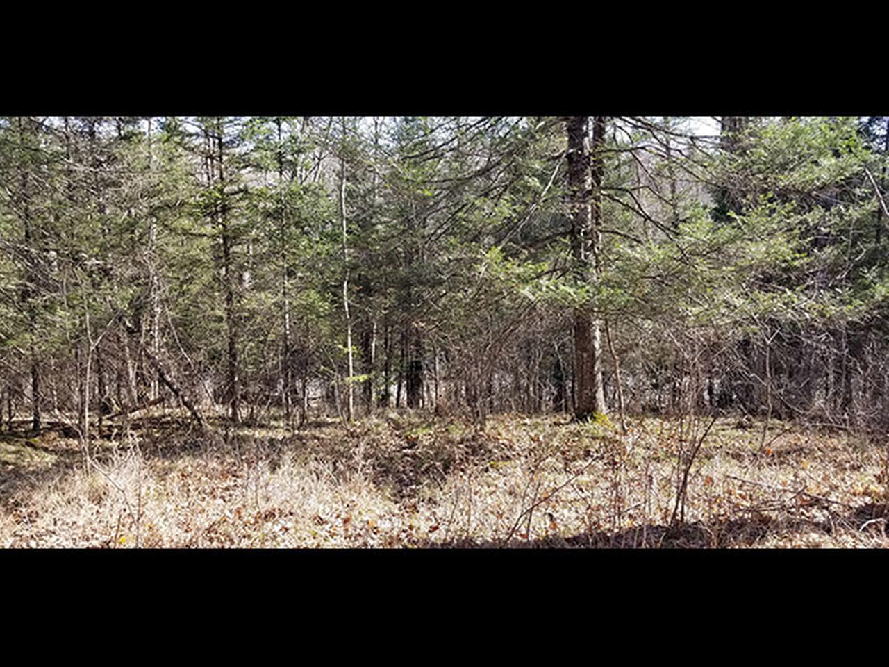 On Lost Lake Road Long Lake, WI 54542 - Photo 6 of 6 Gallery Image 6