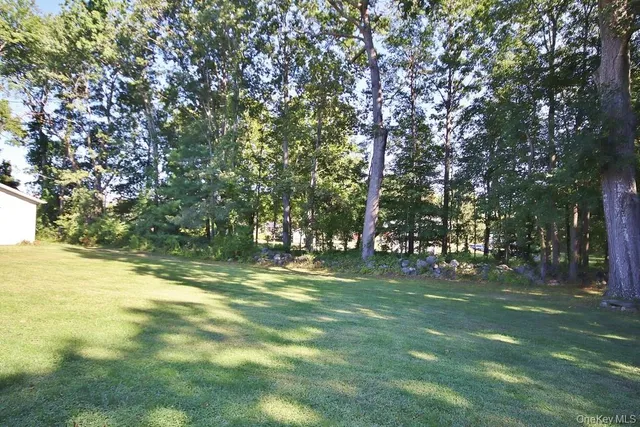 a view of a trees in a yard