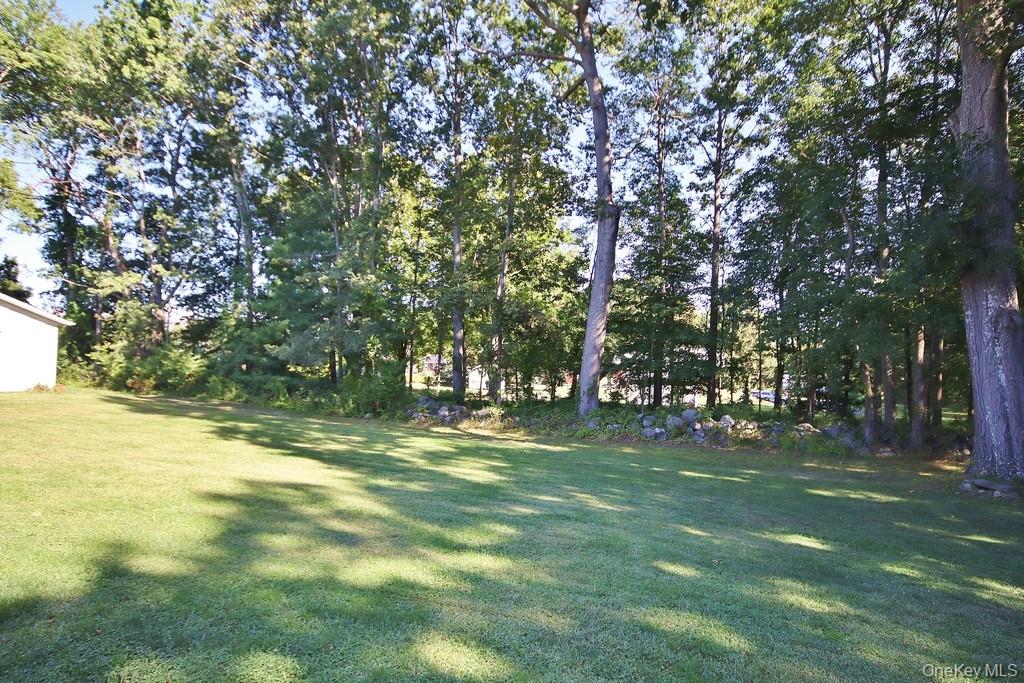 138 Round Hill Road Walden, NY 12586 - Photo 35 of 48 a view of a trees in a yard