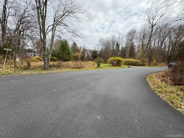 a view of a park with large trees