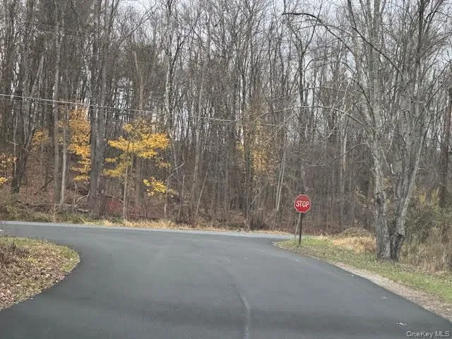 a view of a street with a trees