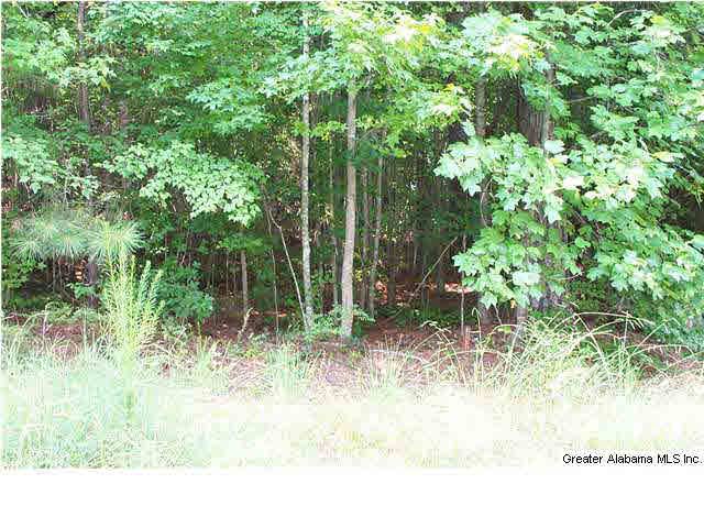 263 County Road 263, Unit 2 PARCLS Lineville, AL 36266 - Photo 3 of 14
