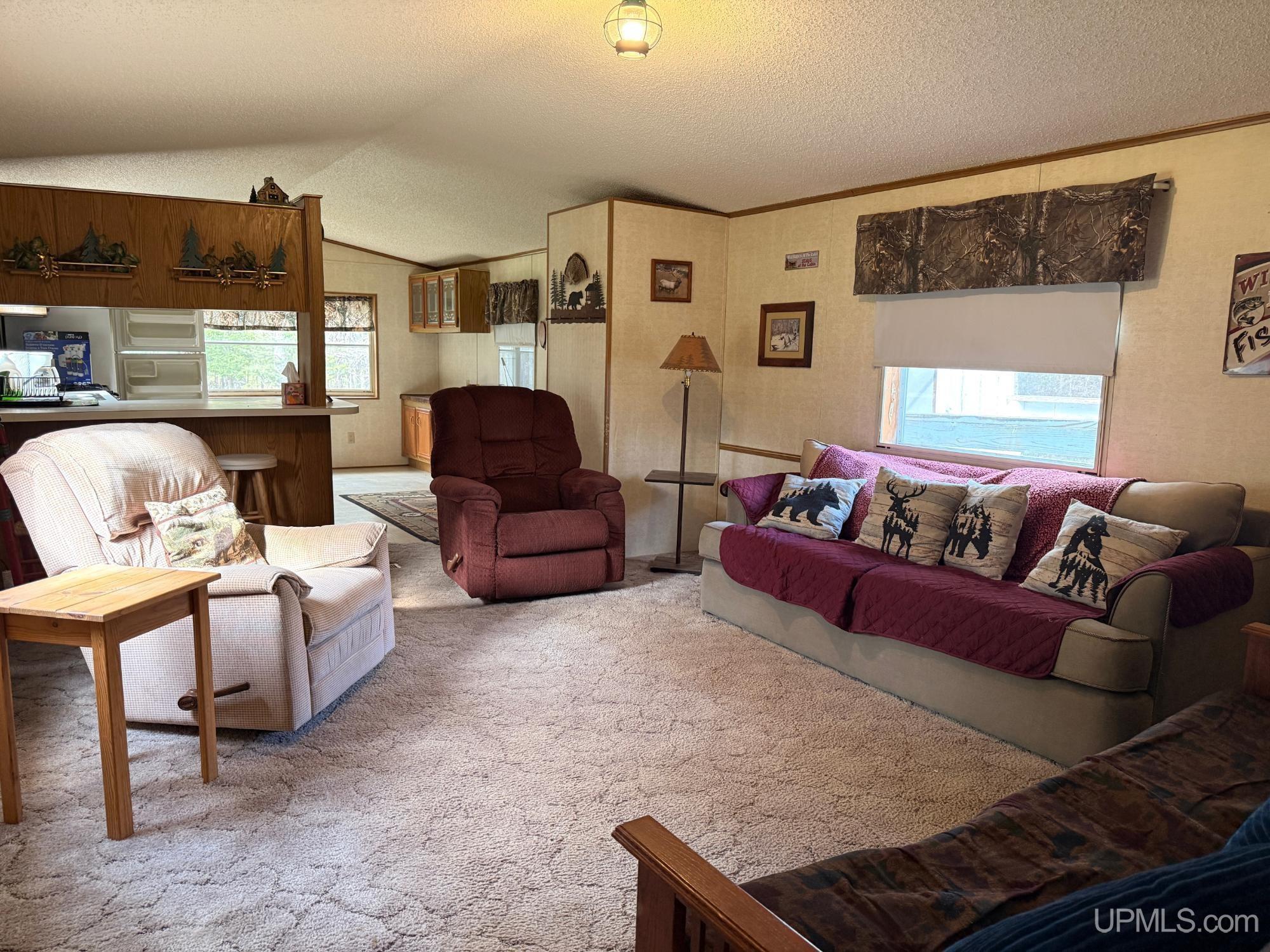11624 Delbert Drive Long Lake, WI 54542 - Photo 9 of 36