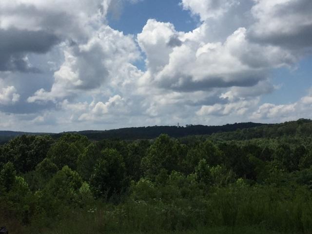 16.29 John Henry Lewis Road Dunlap, TN 37327 - Photo 3 of 7 IMG_5015