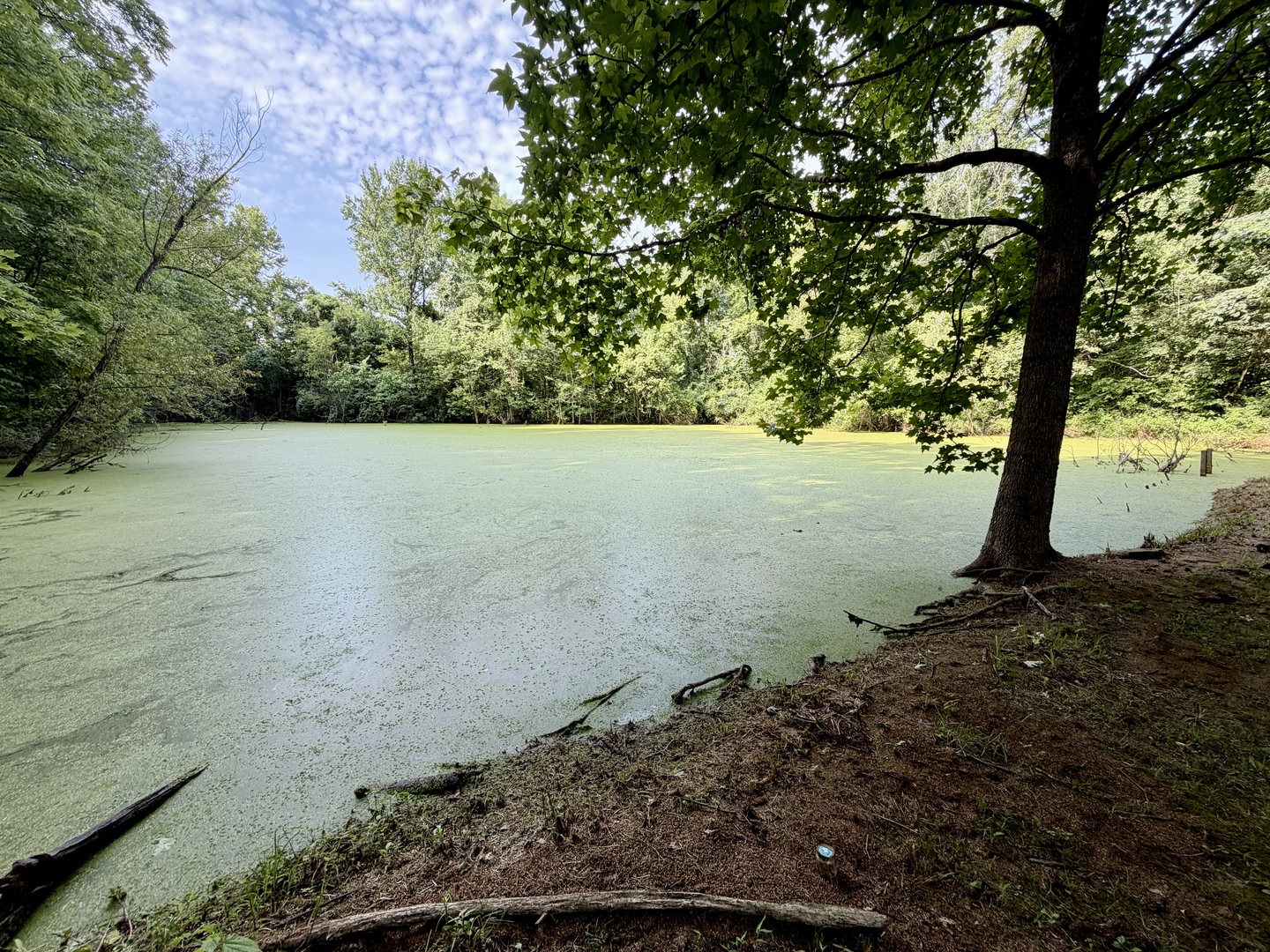 68 Lost Ranch Road Murphysboro, IL 62966 - Photo 10 of 11