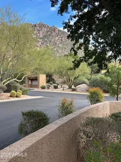 a view of a pathway with a tree