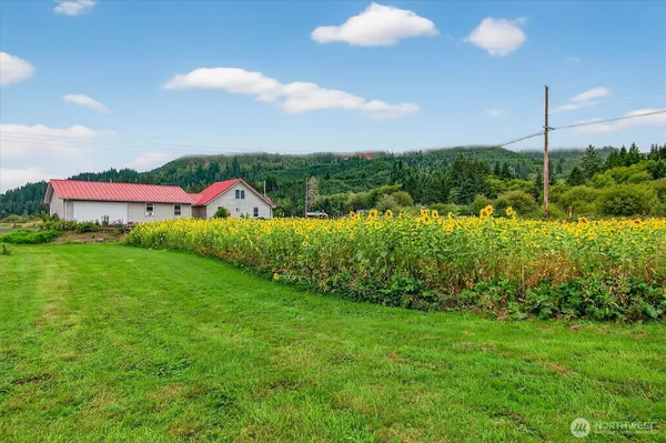 a backyard of a house with lots of green space and trampoline