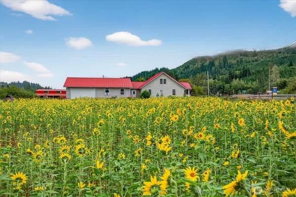 a view of a back yard