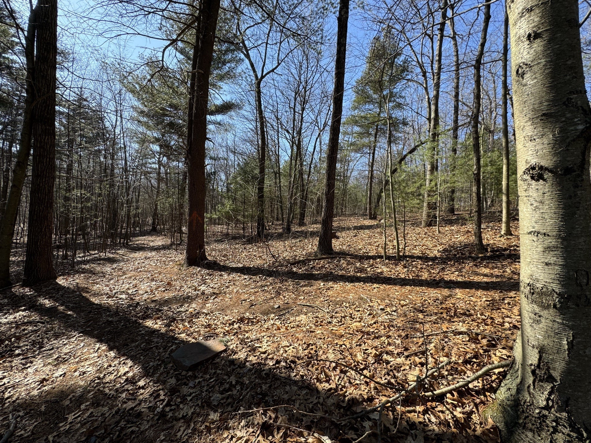 576 V Ridge Road Wilbraham, MA 01095 - Photo 12 of 13 Gallery Image 12