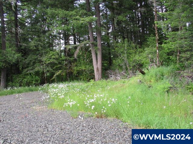 0 Northwest Fairdale Road Yamhill, OR 97148 - Photo 14 of 27