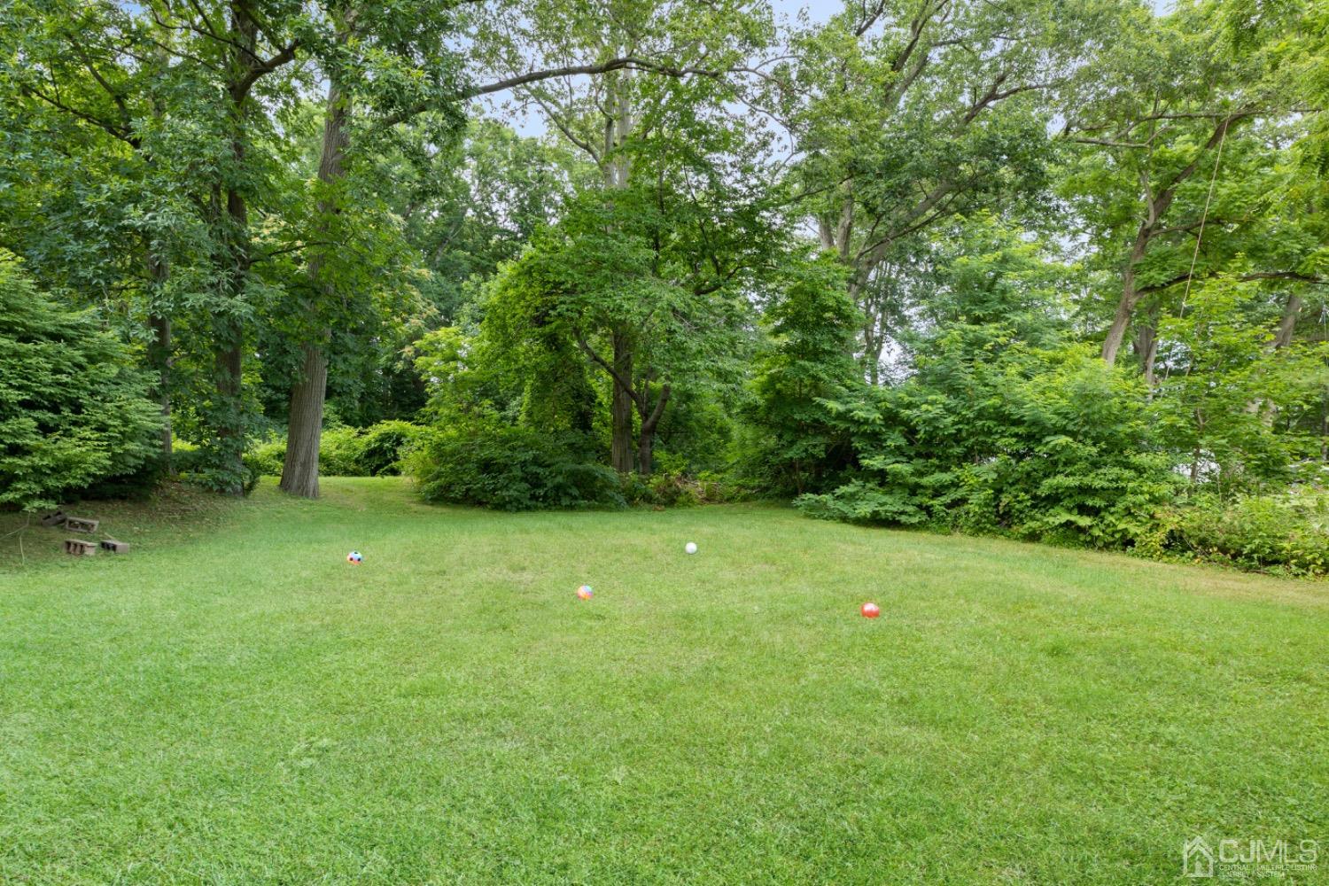 257 Matawan Avenue Matawan, NJ 07747 - Photo 25 of 28 a backyard of a house with lots of plants and trees