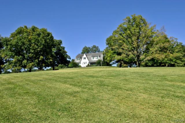 a view of yard with green space