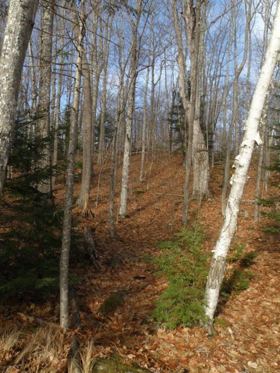 Lot 19-2 State Rte 9 Saco, ME 04072 - Photo 15 of 31 Photo