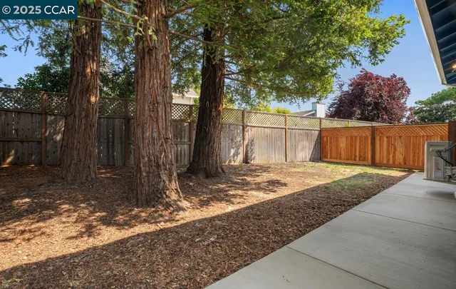 a backyard of a house with large trees and wooden fence