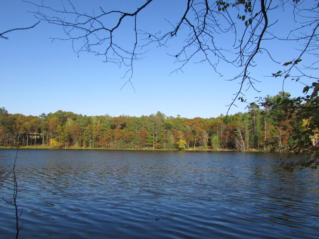 Gallery Image 7