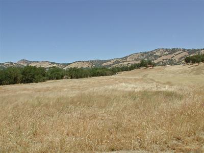 30388 Watts Valley Road Tollhouse, CA 93667 - Photo 21 of 85 Gallery Image 21