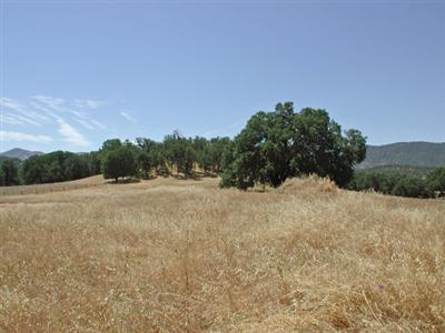 30388 Watts Valley Road Tollhouse, CA 93667 - Photo 22 of 85 Gallery Image 22