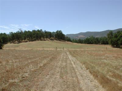 30388 Watts Valley Road Tollhouse, CA 93667 - Photo 25 of 85 Gallery Image 25