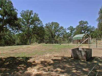 30388 Watts Valley Road Tollhouse, CA 93667 - Photo 27 of 85 Gallery Image 27