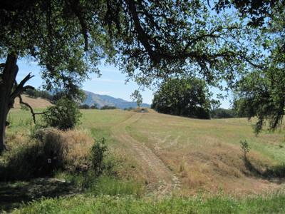 30388 Watts Valley Road Tollhouse, CA 93667 - Photo 68 of 85 Gallery Image 68