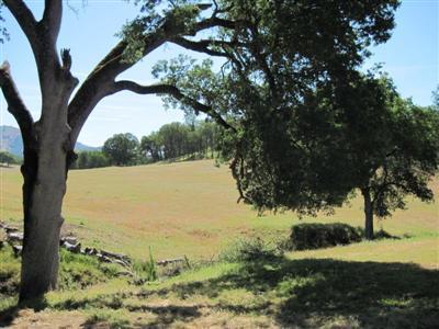 30388 Watts Valley Road Tollhouse, CA 93667 - Photo 70 of 85 Gallery Image 70