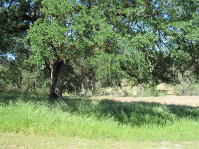 30388 Watts Valley Road Tollhouse, CA 93667 - Photo 84 of 85 Gallery Image 84