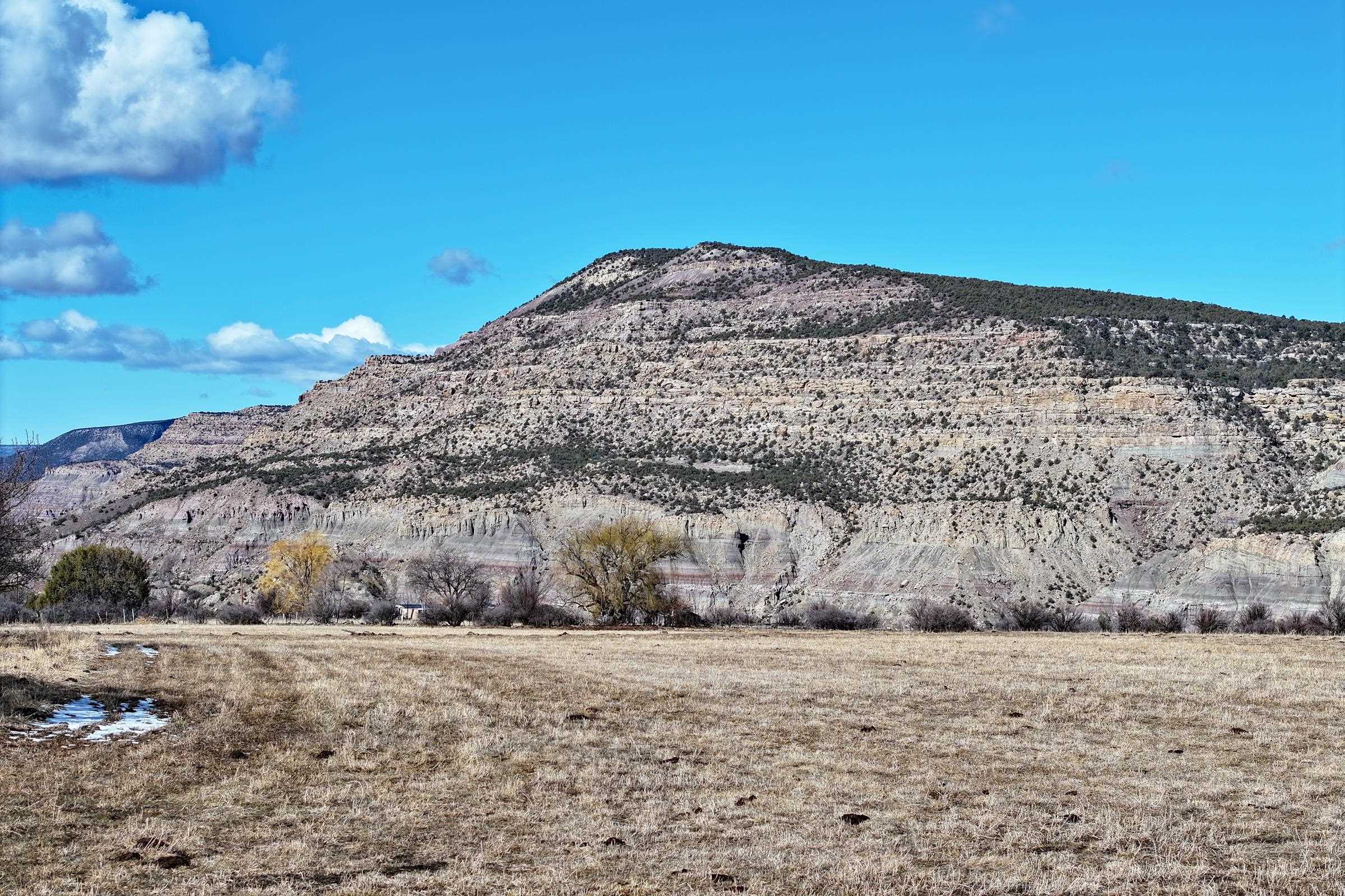 12482 54 54 7/10 Road Molina, CO 81646 - Photo 12 of 17 a large building with wooden fence