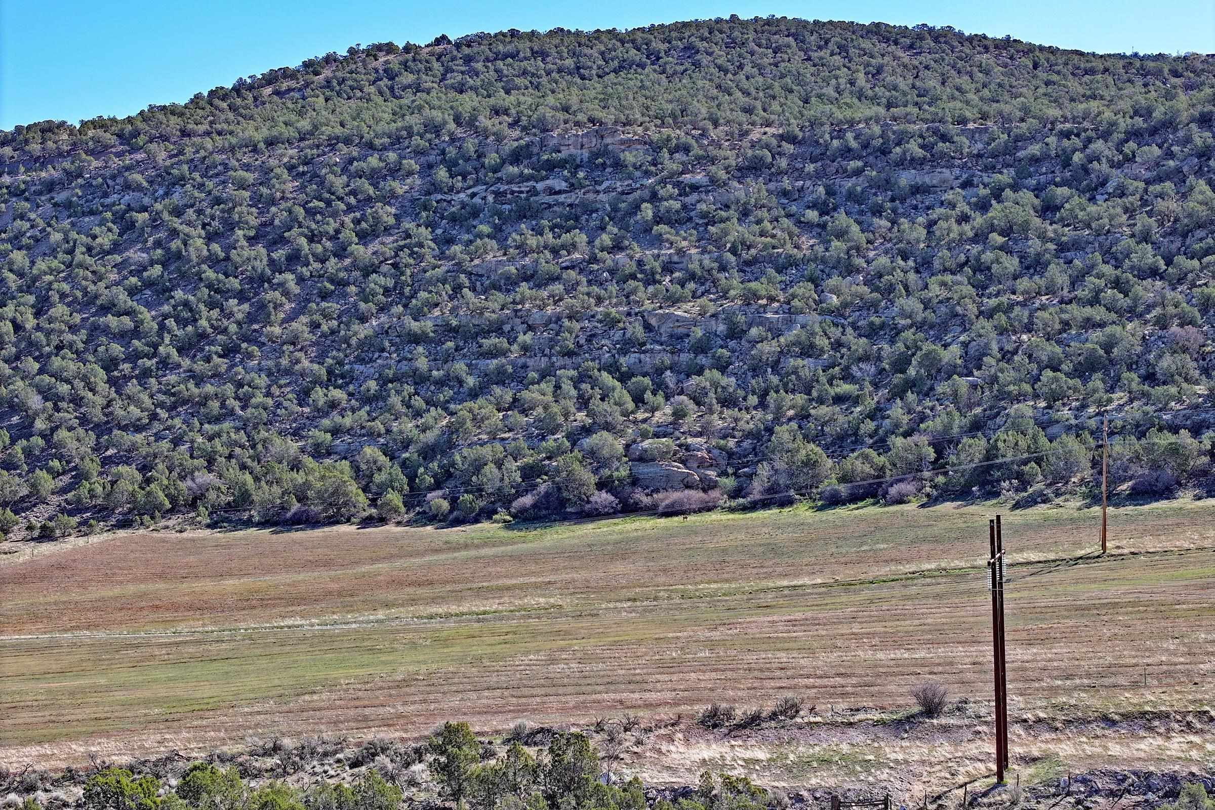 12482 54 54 7/10 Road Molina, CO 81646 - Photo 13 of 23 a view of a lake view
